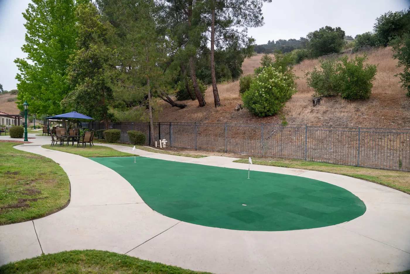 The putting green on the community lawn