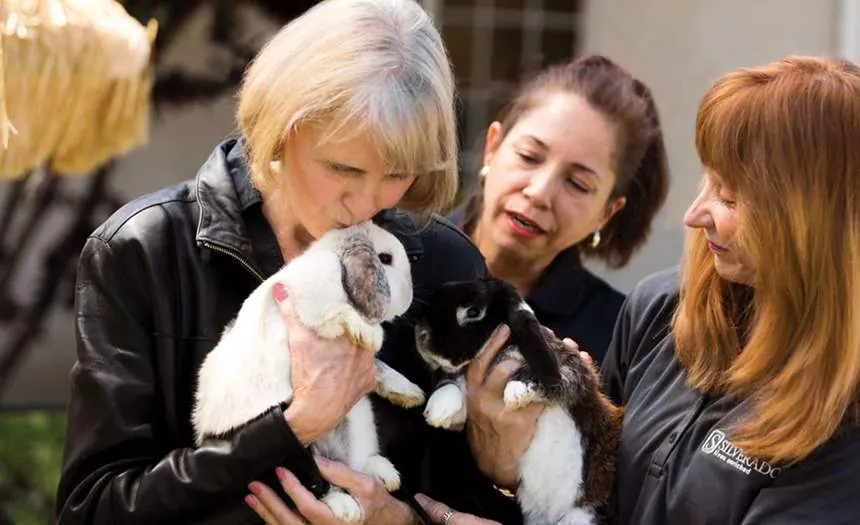 Pet therapy day with the community rabbits