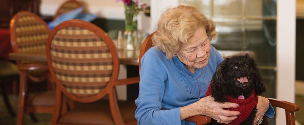 Pet Interaction Can Lower Blood Pressure