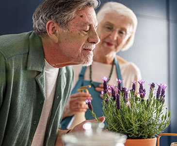 Olfactory Stimulation and dementia
