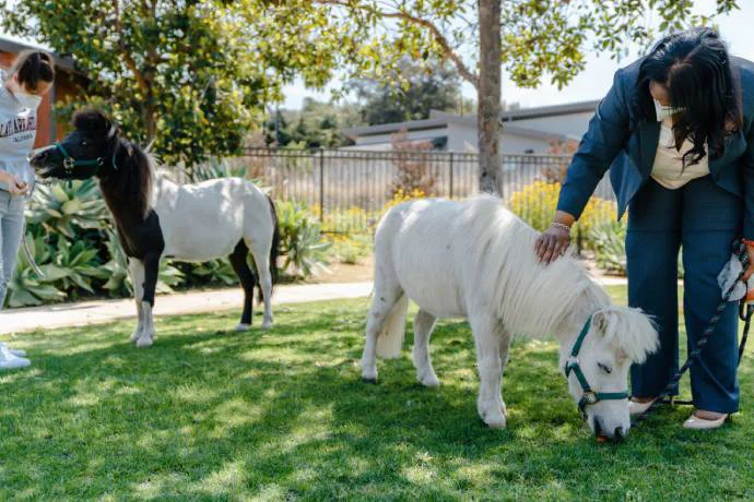 Silverado Encinitas Photos