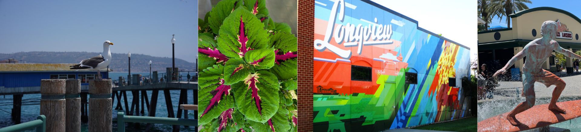 Through Our Residents' Lenses