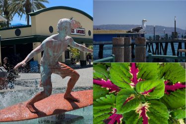 Through Our Residents' Lenses